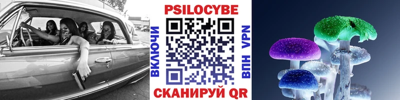 Галлюциногенные грибы прущие грибы Петропавловск-Камчатский